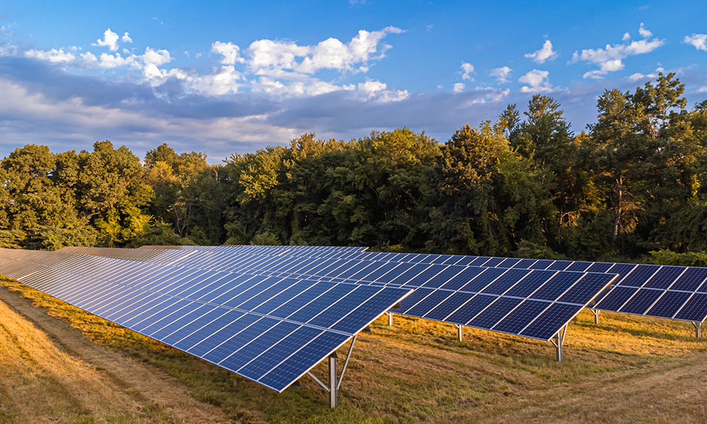 Ground Mounted Solar