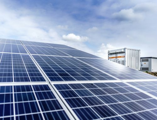 Ethical Solar Choices for Responsible Businesses
